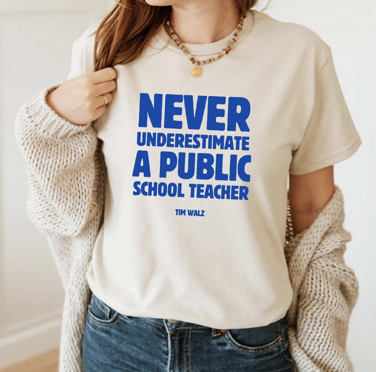 Never underestimate a public school teacher T-Shirt/Sweatshirt/Hoodie