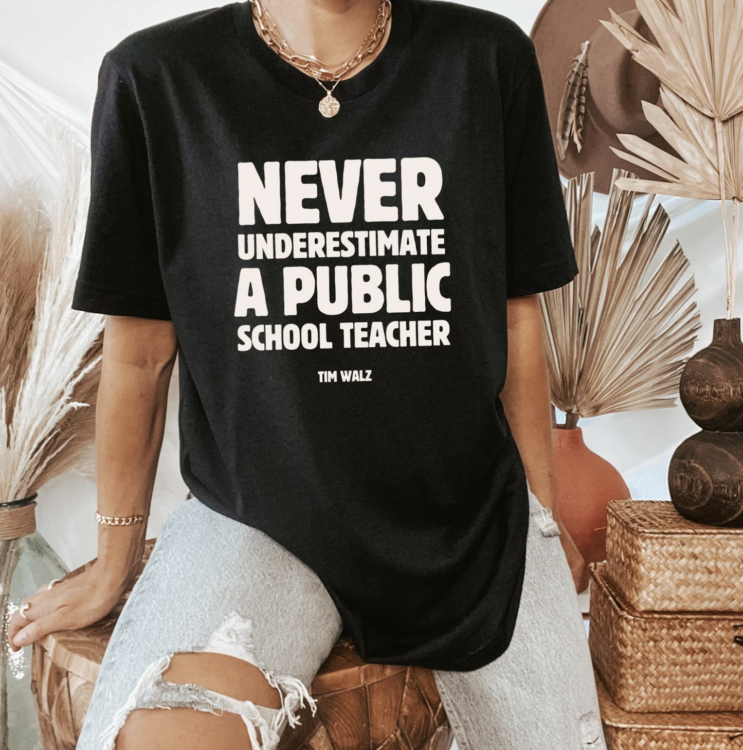 Never underestimate a public school teacher T-Shirt/Sweatshirt/Hoodie