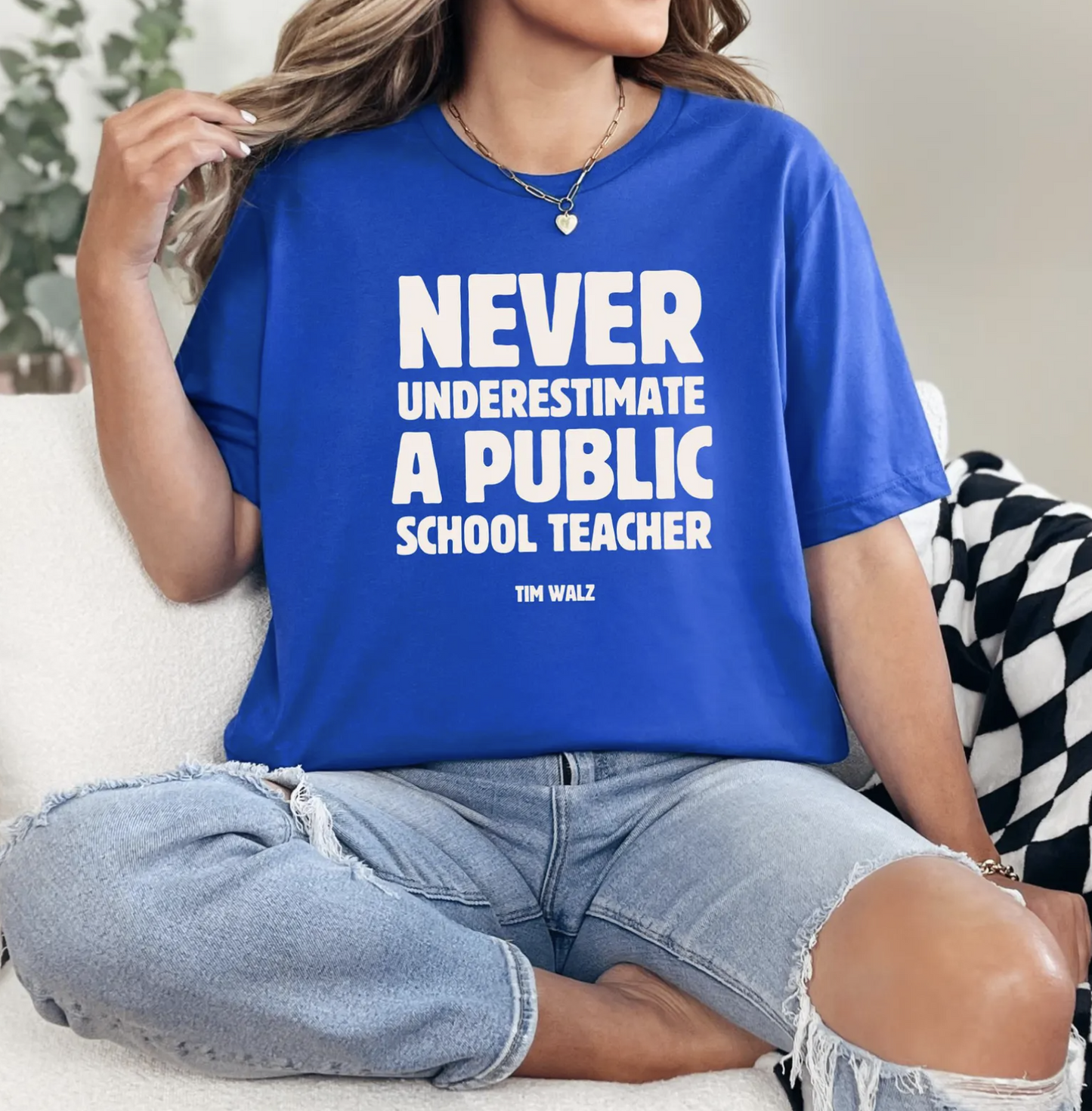 Never underestimate a public school teacher T-Shirt/Sweatshirt/Hoodie