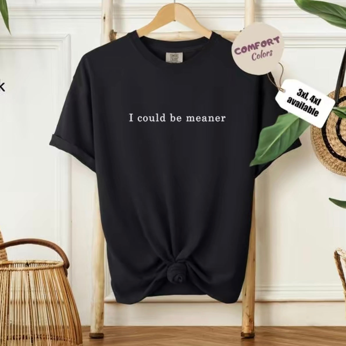 I Could Be Meaner T-Shirt/Sweatshirt/Hoodie