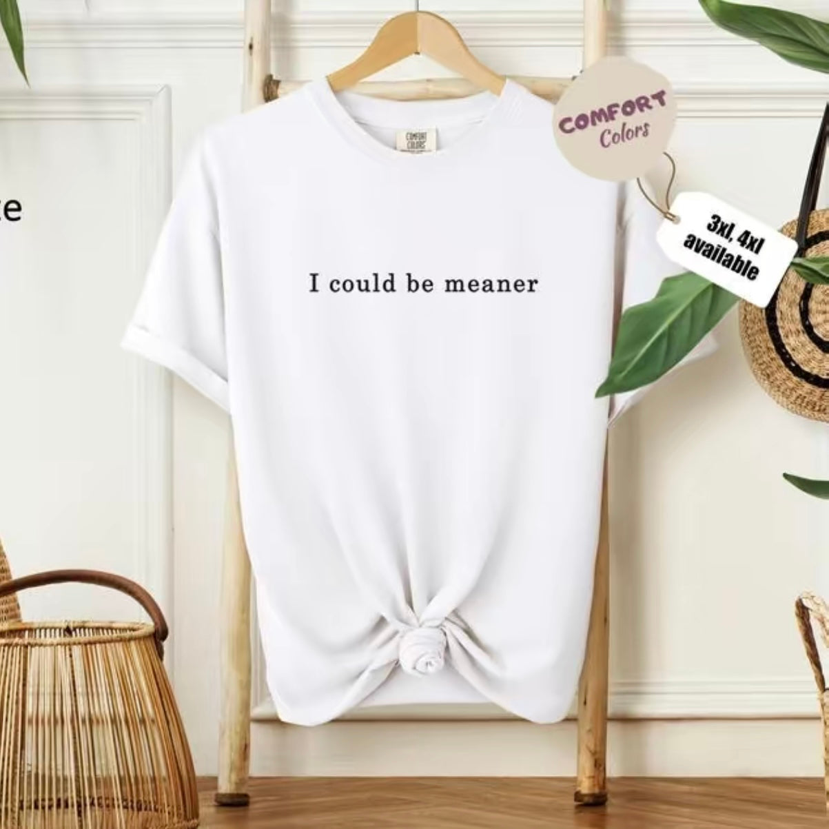 I Could Be Meaner T-Shirt/Sweatshirt/Hoodie