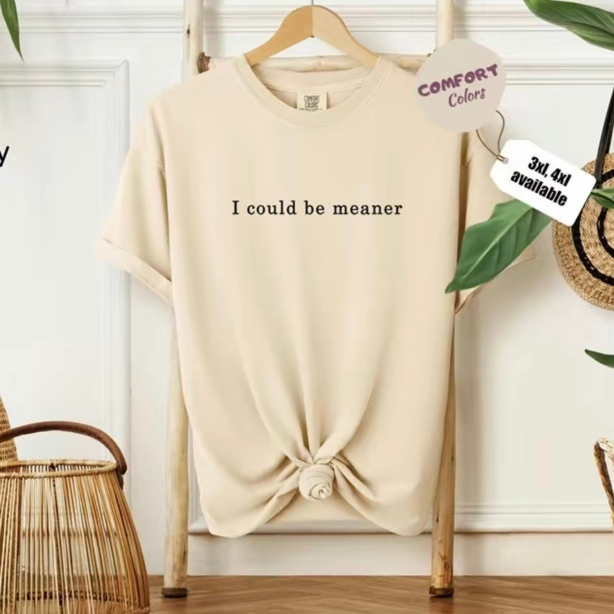 I Could Be Meaner T-Shirt/Sweatshirt/Hoodie