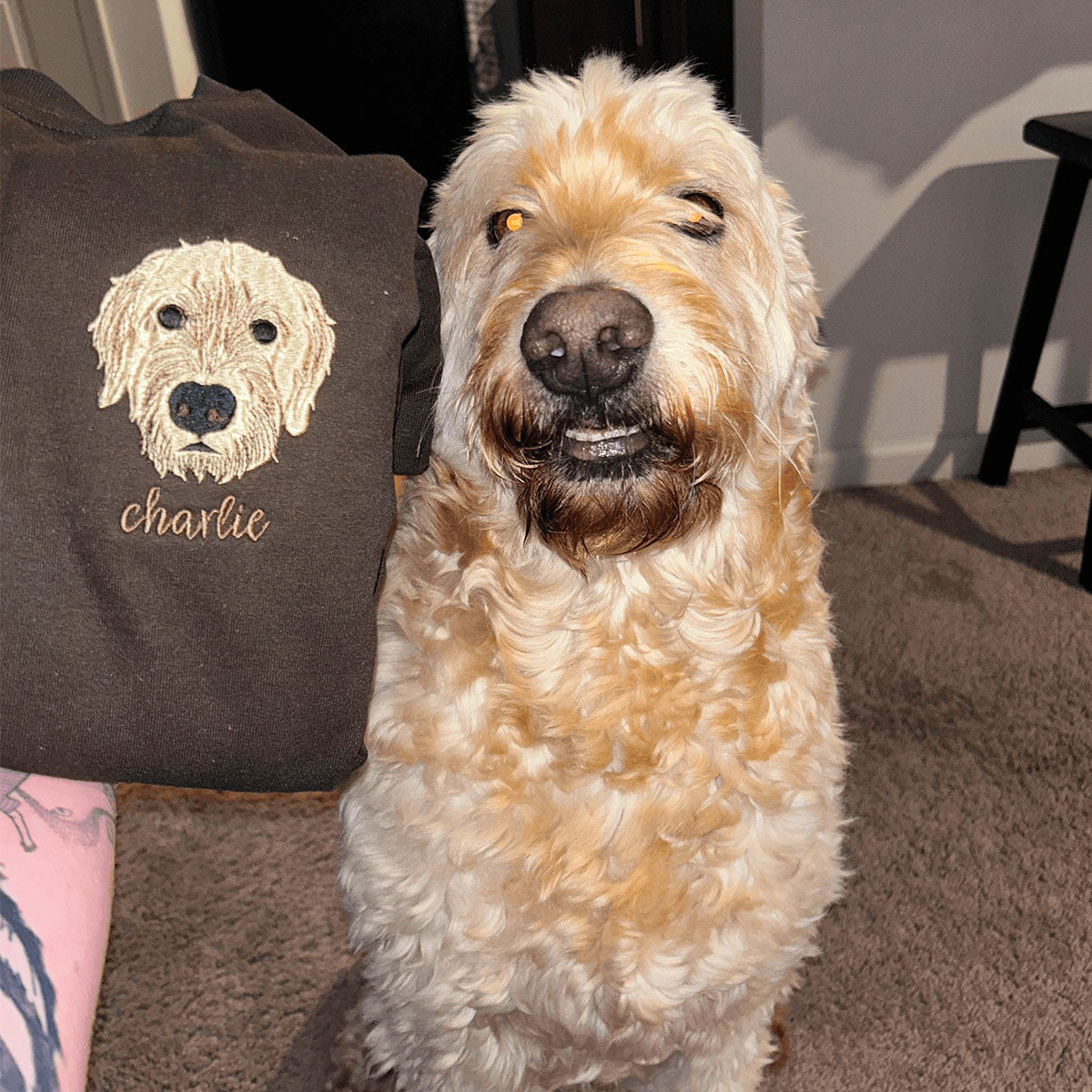 Benutzerdefiniertes Hunde-Sweatshirt mit Stickerei, Hoodie - Geschenk für Hundeliebhaber