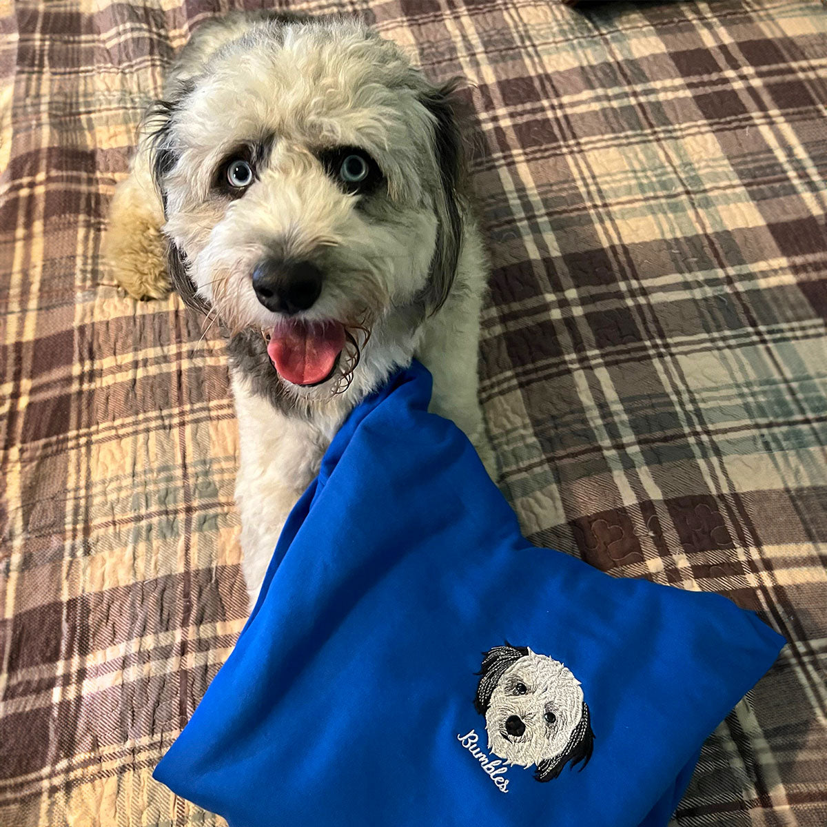 Benutzerdefiniertes Hunde-Sweatshirt mit Stickerei, Hoodie - Geschenk für Hundeliebhaber