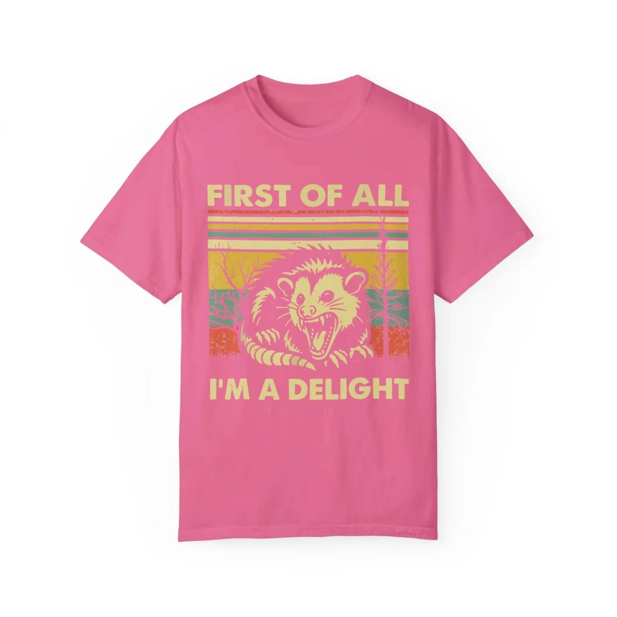 First of All I'm a Delight T-Shirt/Sweatshirt/Hoodie